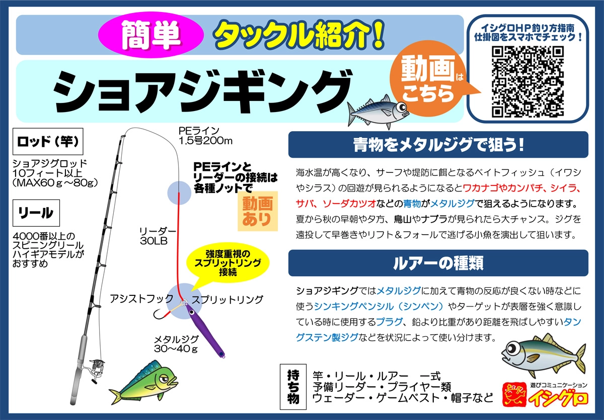 ショアジギング | 釣具のイシグロ | 釣り情報サイト